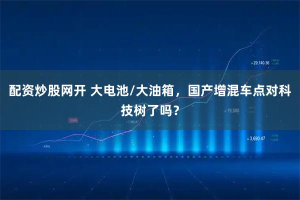 配资炒股网开 大电池/大油箱，国产增混车点对科技树了吗？